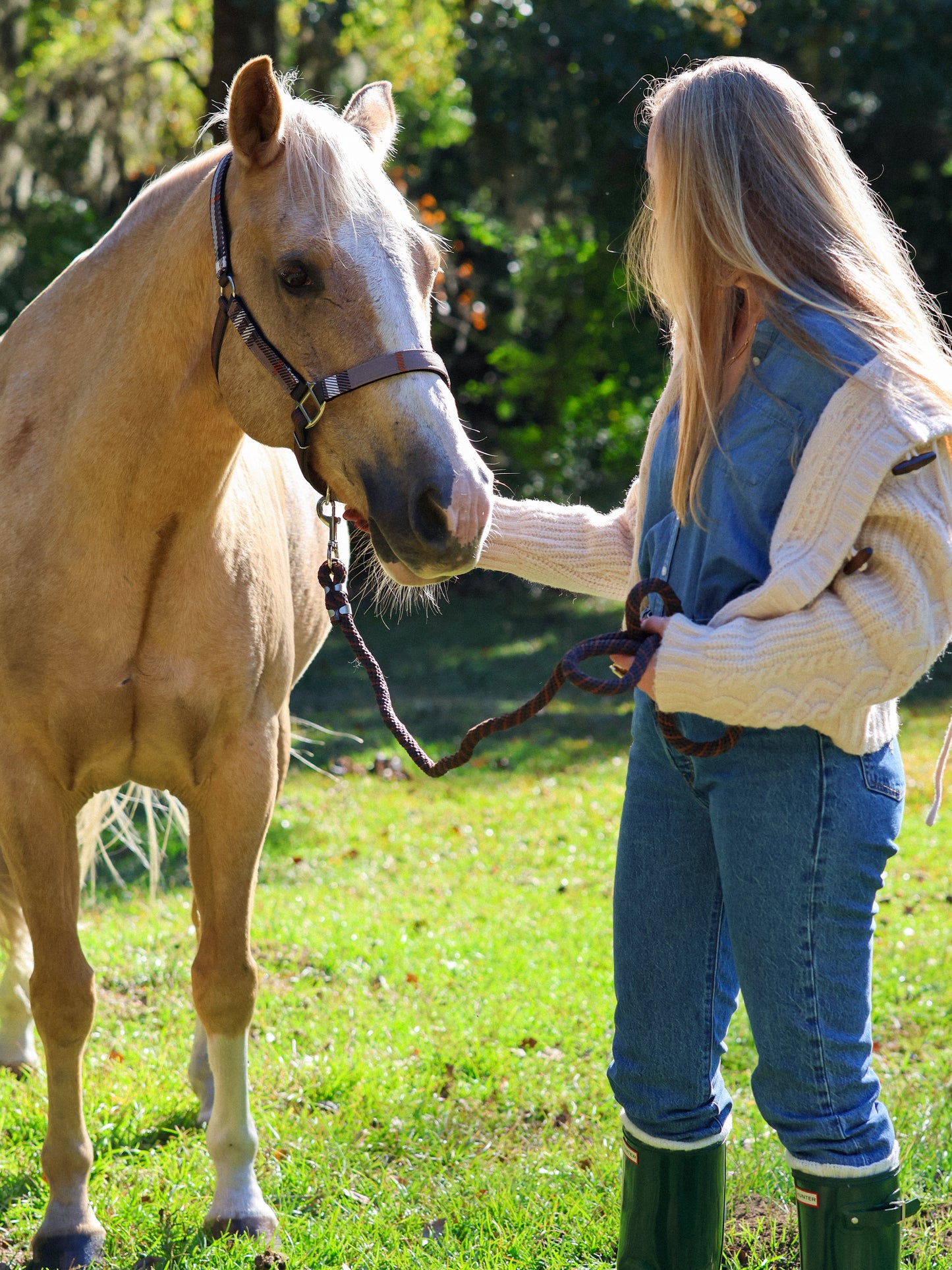 Lauren Hooded Sweater