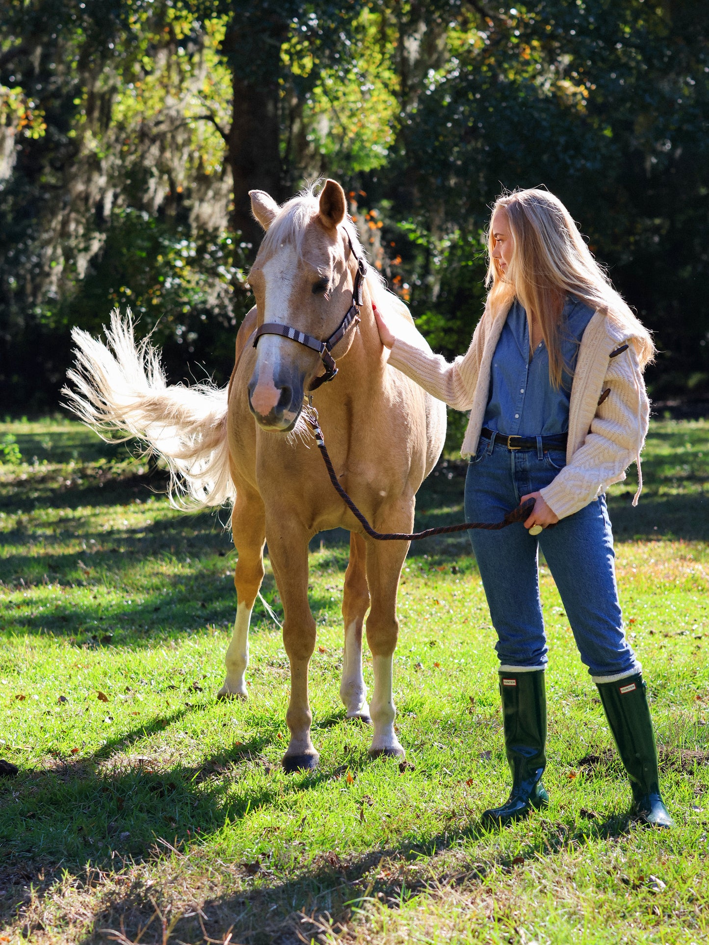 Lauren Hooded Sweater